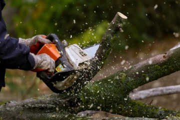 Tree Removal Downers Grove IL