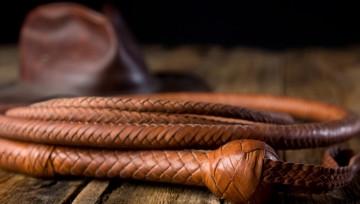 Western Bullwhip