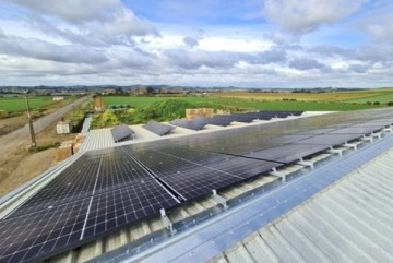 PERL Electrical Hibiscus & Dairy Flat