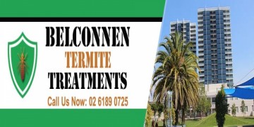 Belconnen Termite Treatments
