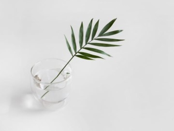 Shoreline Cremation Society