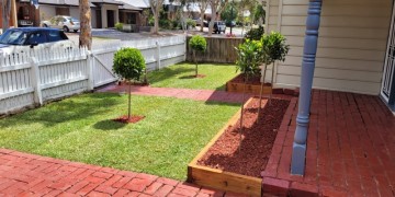 Pro Landscaping Services & Designs