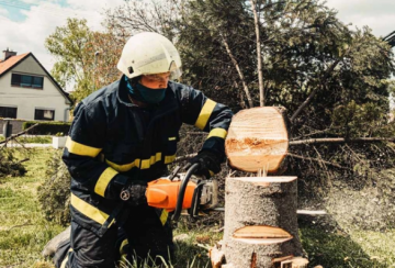 Blue Collar Tree Service