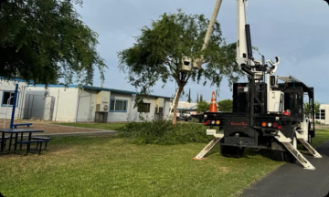 General Tree Service