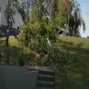 Precision Tree Service