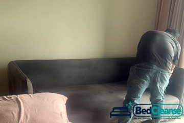 BedCleanse Bed Bug Treatment & Mattress Cleaning Singapore