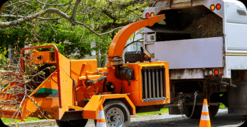 Stanton Tree Service