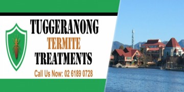Tuggeranong Termite Treatments